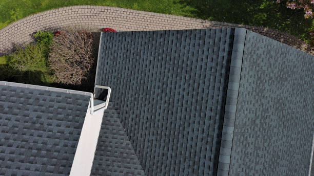 Best Roof Moss and Algae Removal  in El Dorado, AR